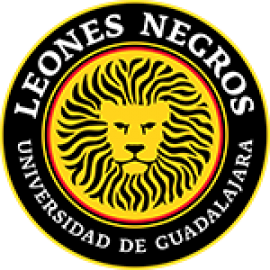 Leones Negros