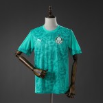 Maglia Palmeiras Training Green 2026/2027