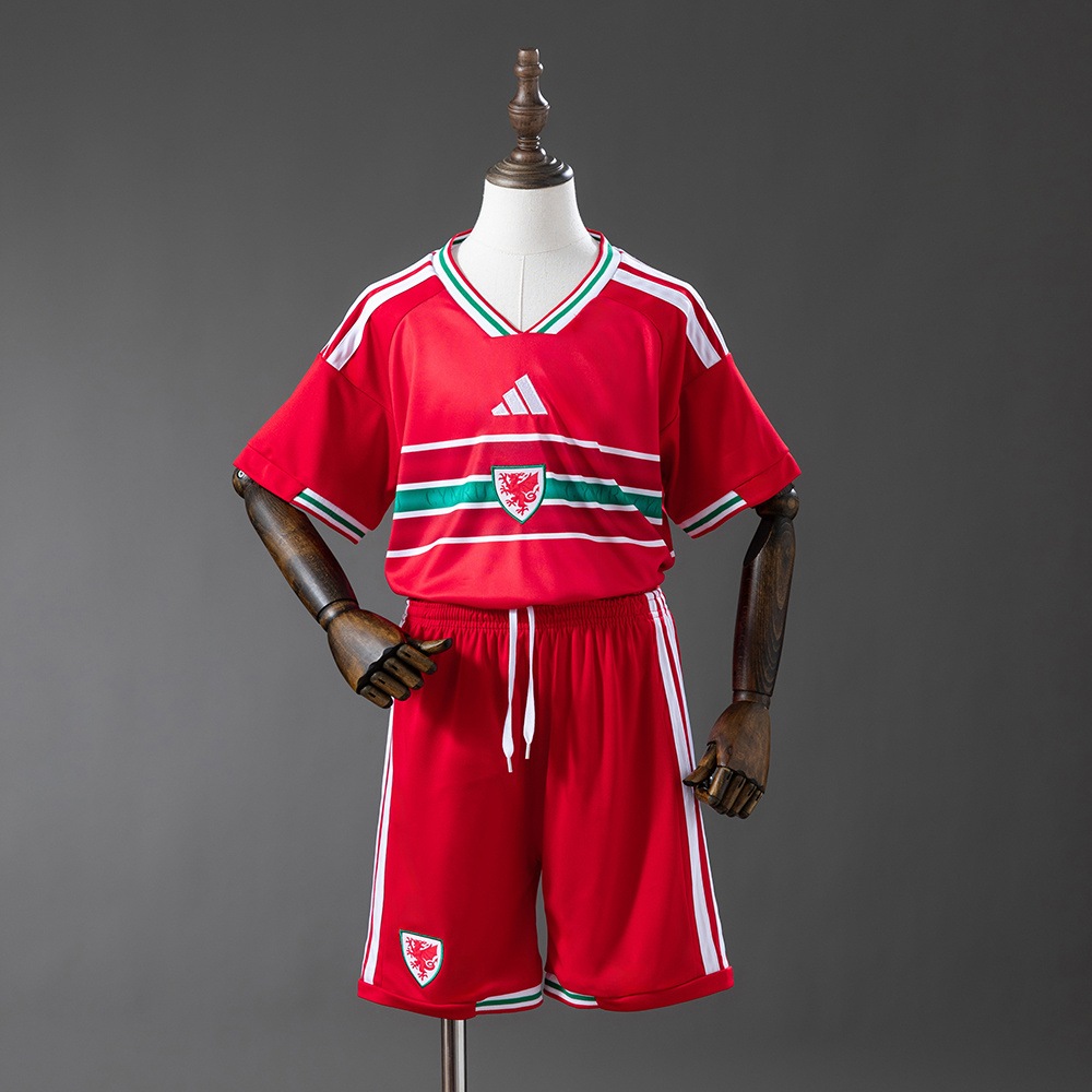 Maglia Pays De Galles Bambino Gara Home 2026/2027