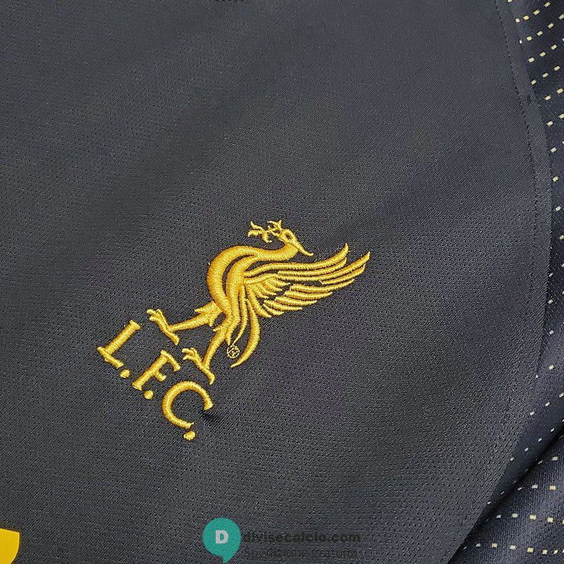 Maglia Liverpool Training Gray 2020/2021