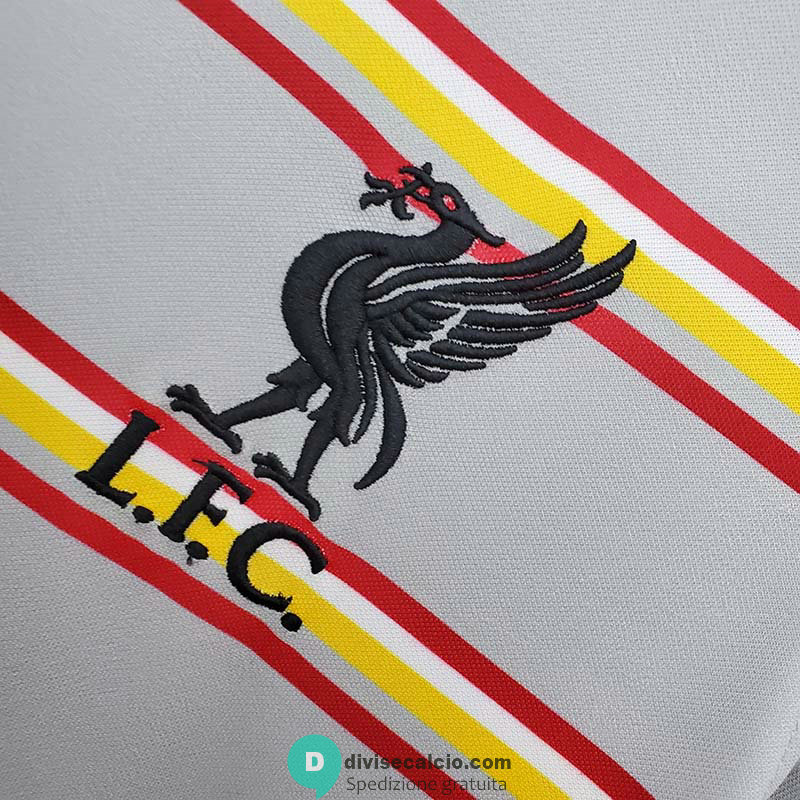 Maglia Liverpool Training Grey Stripes 2021/2022