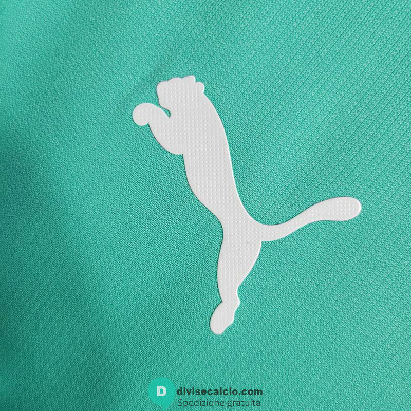 Maglia Palmeiras Retro Gara Third 2019/2020